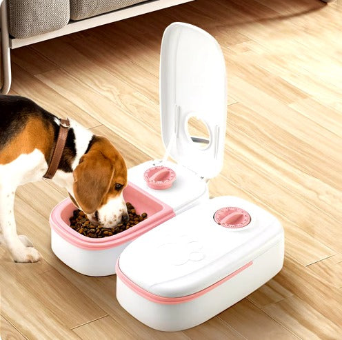 Temporizador Dispensador Alimento mascot
